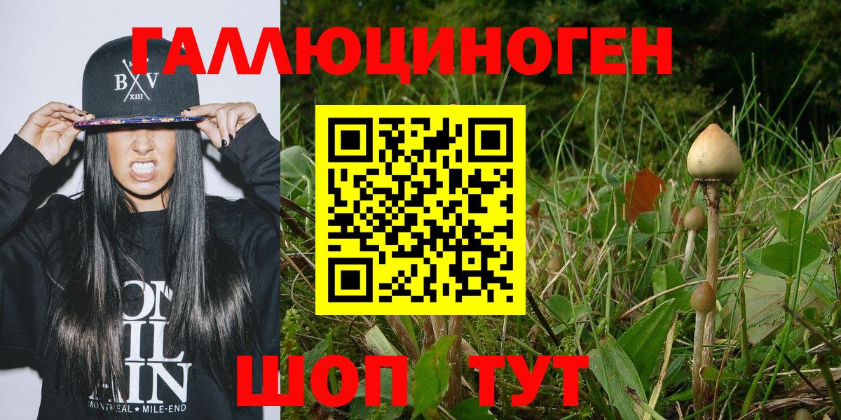 Галлюциногенные грибы Psilocybe Изобильный