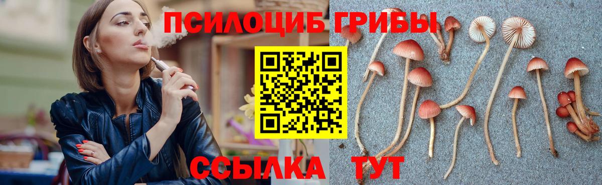 Изобильный  Галлюциногенные грибы GOLDEN TEACHER  купить  сайты  Вход с VPN  Галлюциногенные грибы ЛСД 
